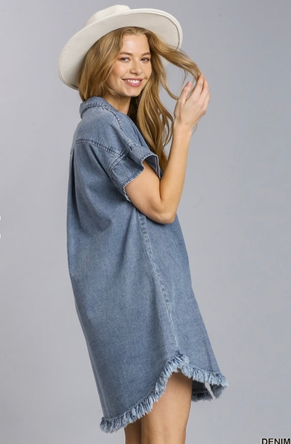 Ruffle Sleeve Denim Dress